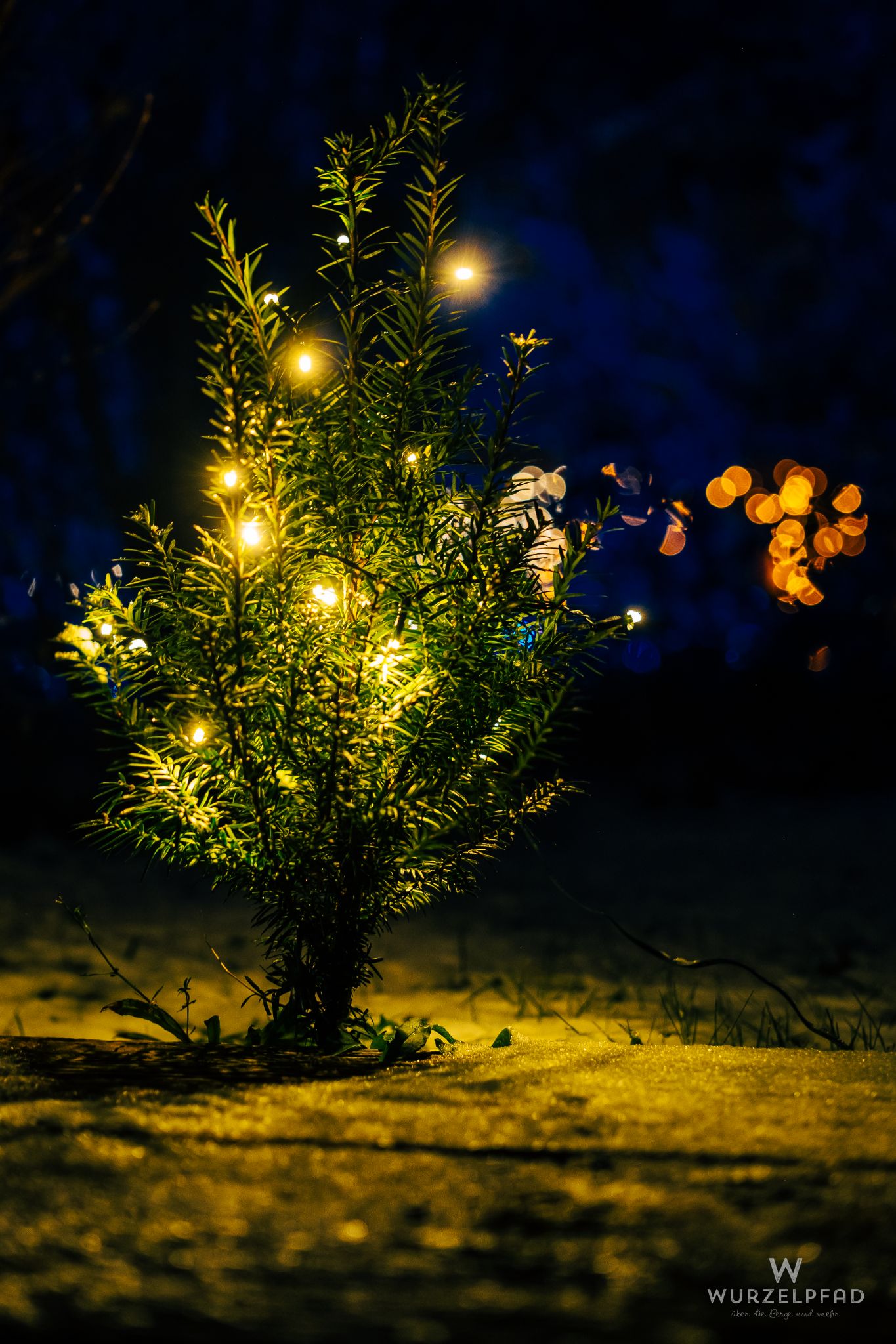 Winterlicher Weihnachtsbaum mit Lichtern