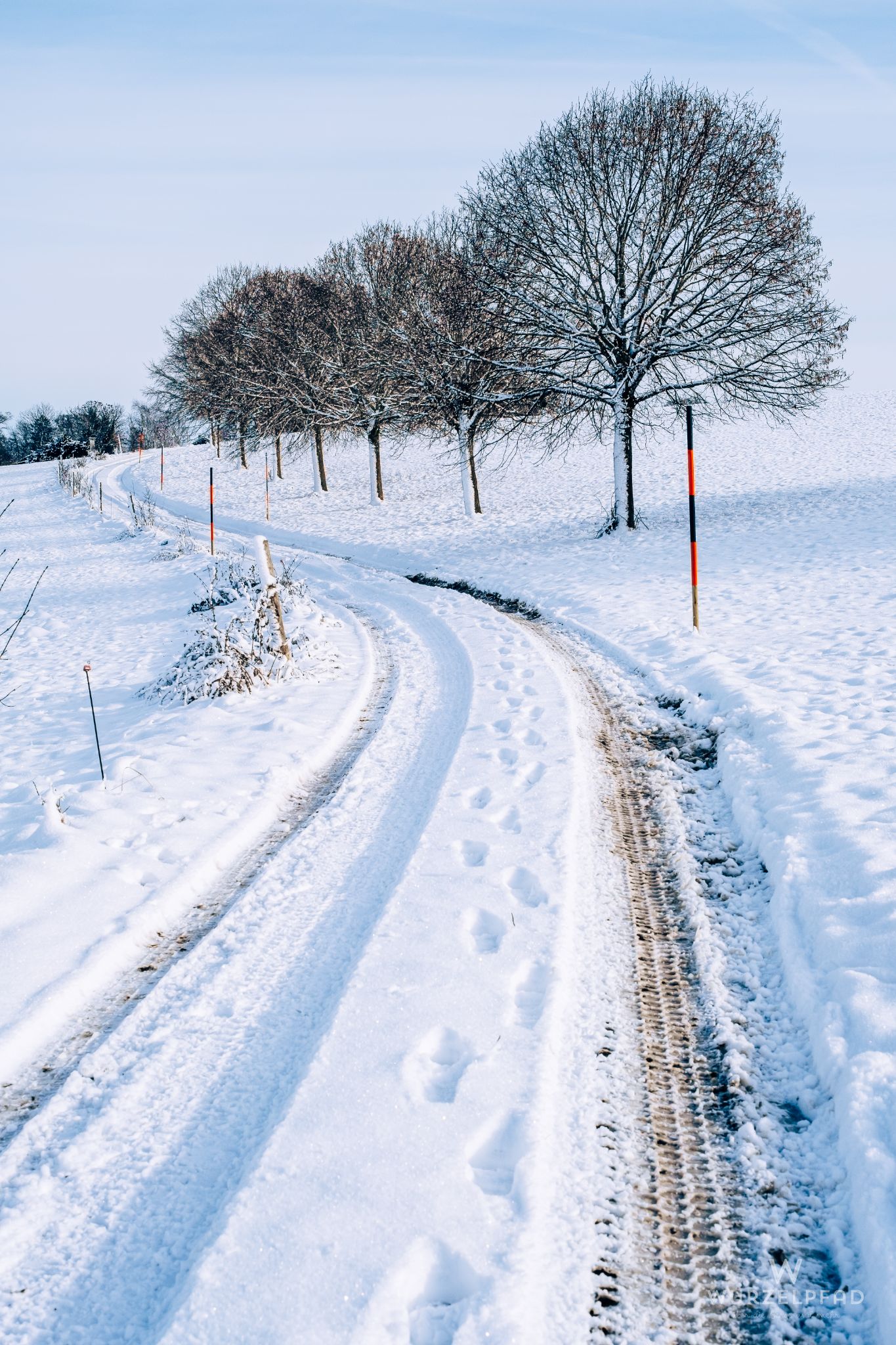 Winterweg durch Schneebedeckte Landschaft