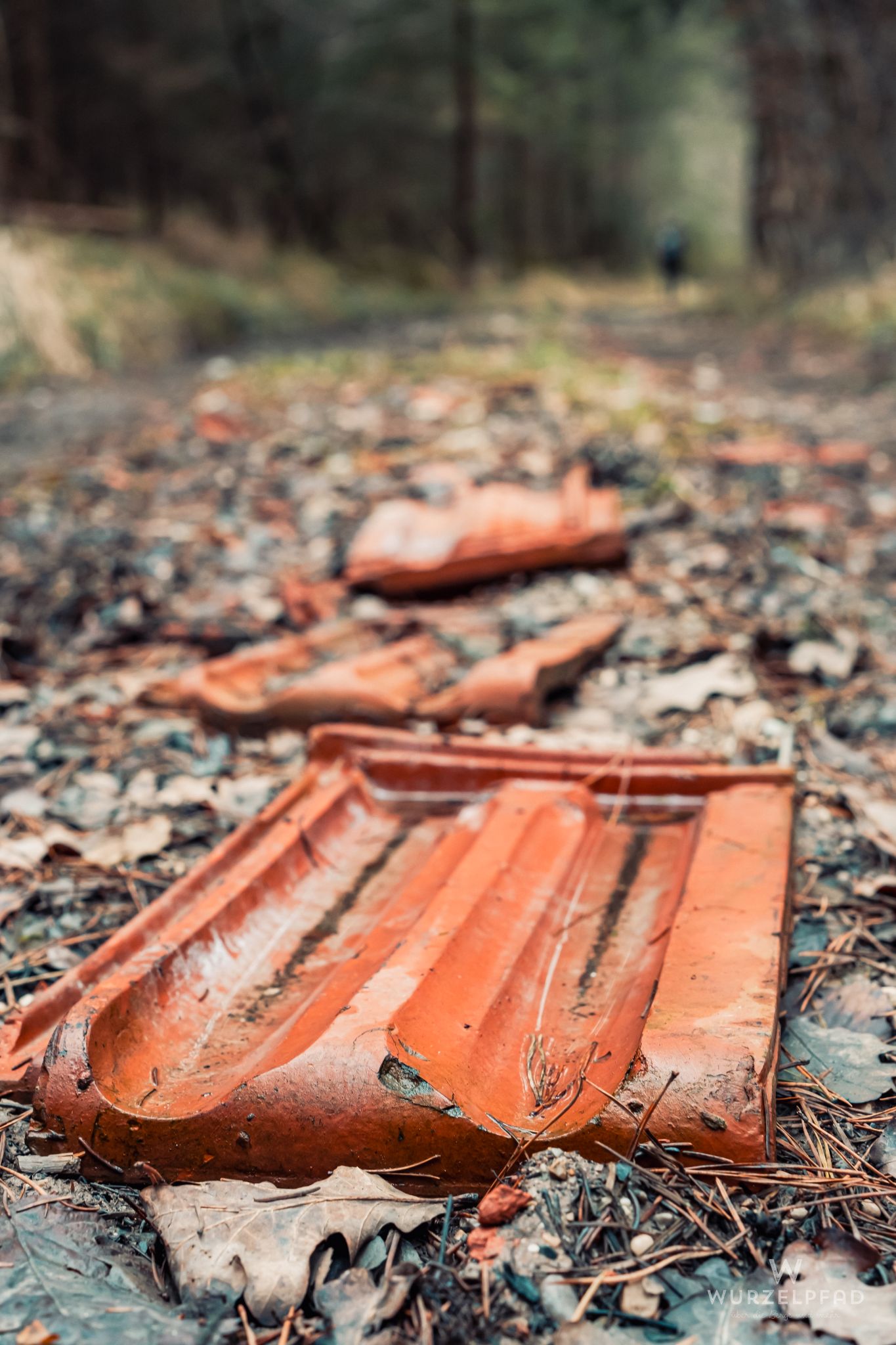 Zerstörte Dachziegel im Wald