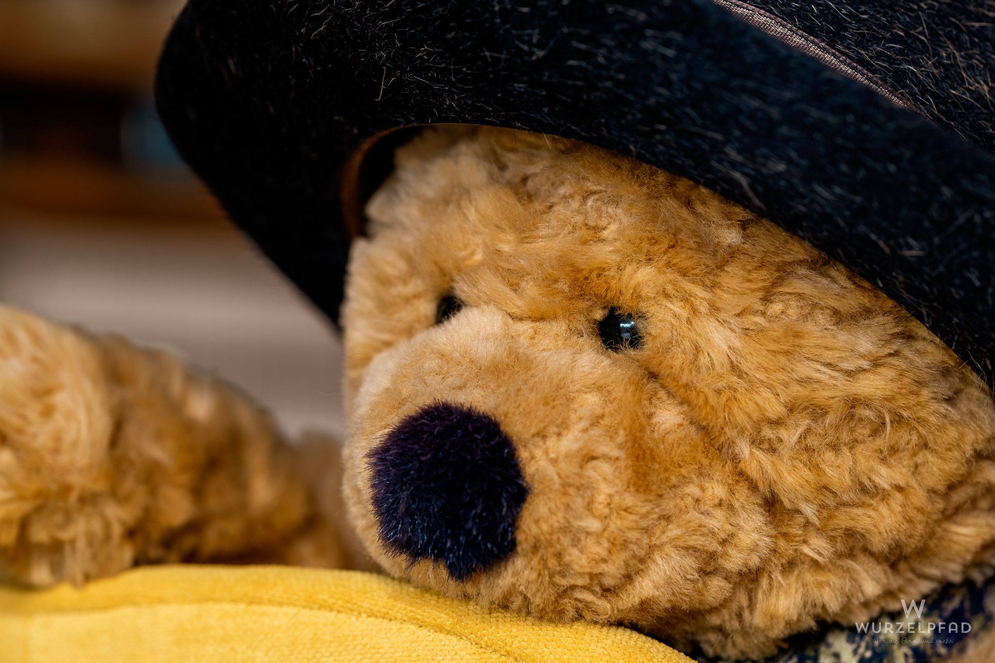 Brummel mit Hut