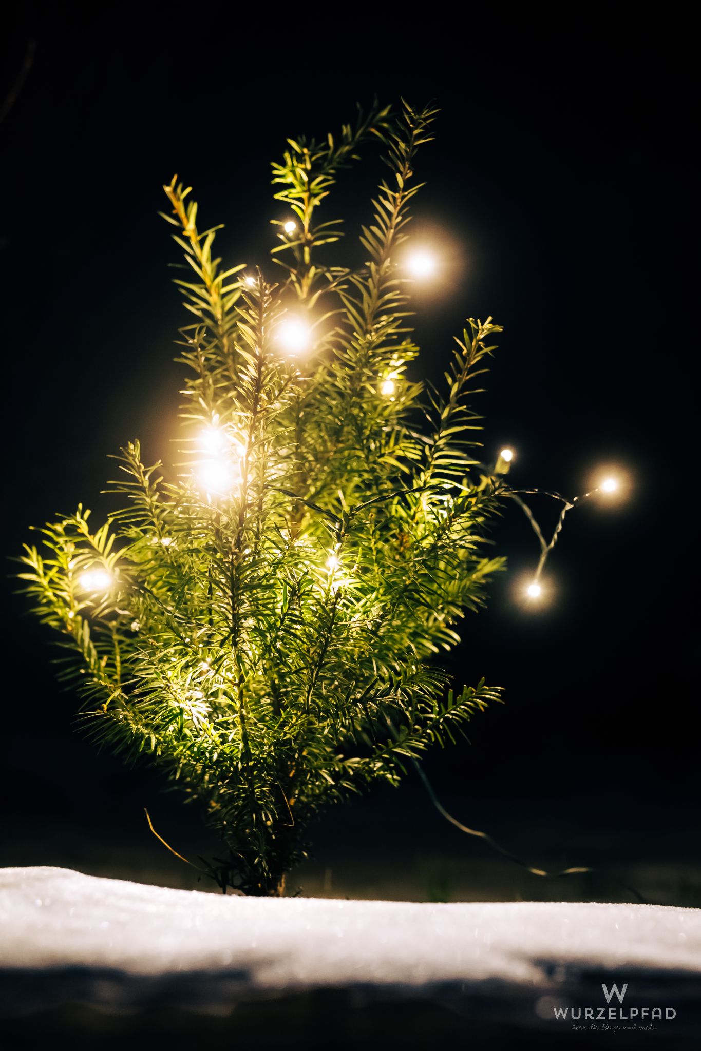 Weihnachtsbäumle in Deisenhofen