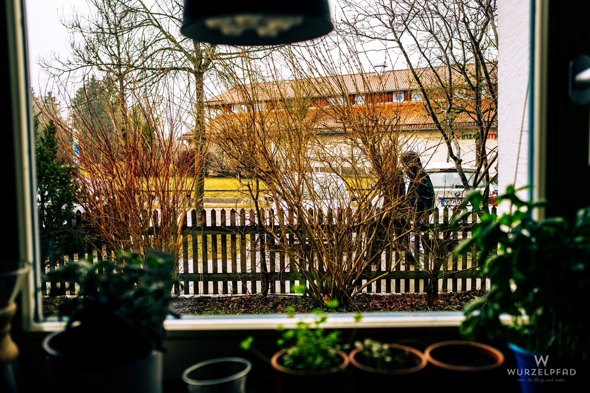 Fensterblick auf den Wintergarten.