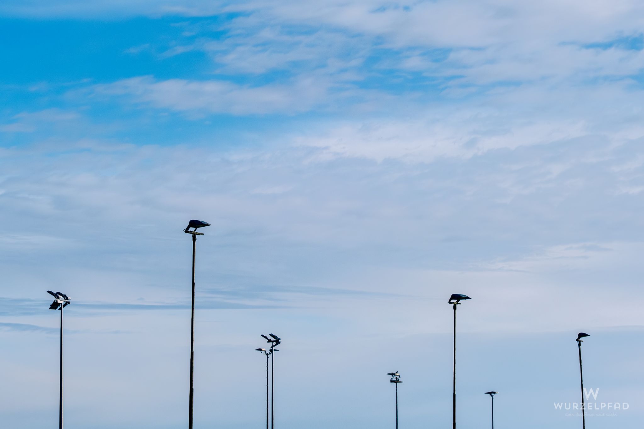 Fußballplatzbeleuchtung