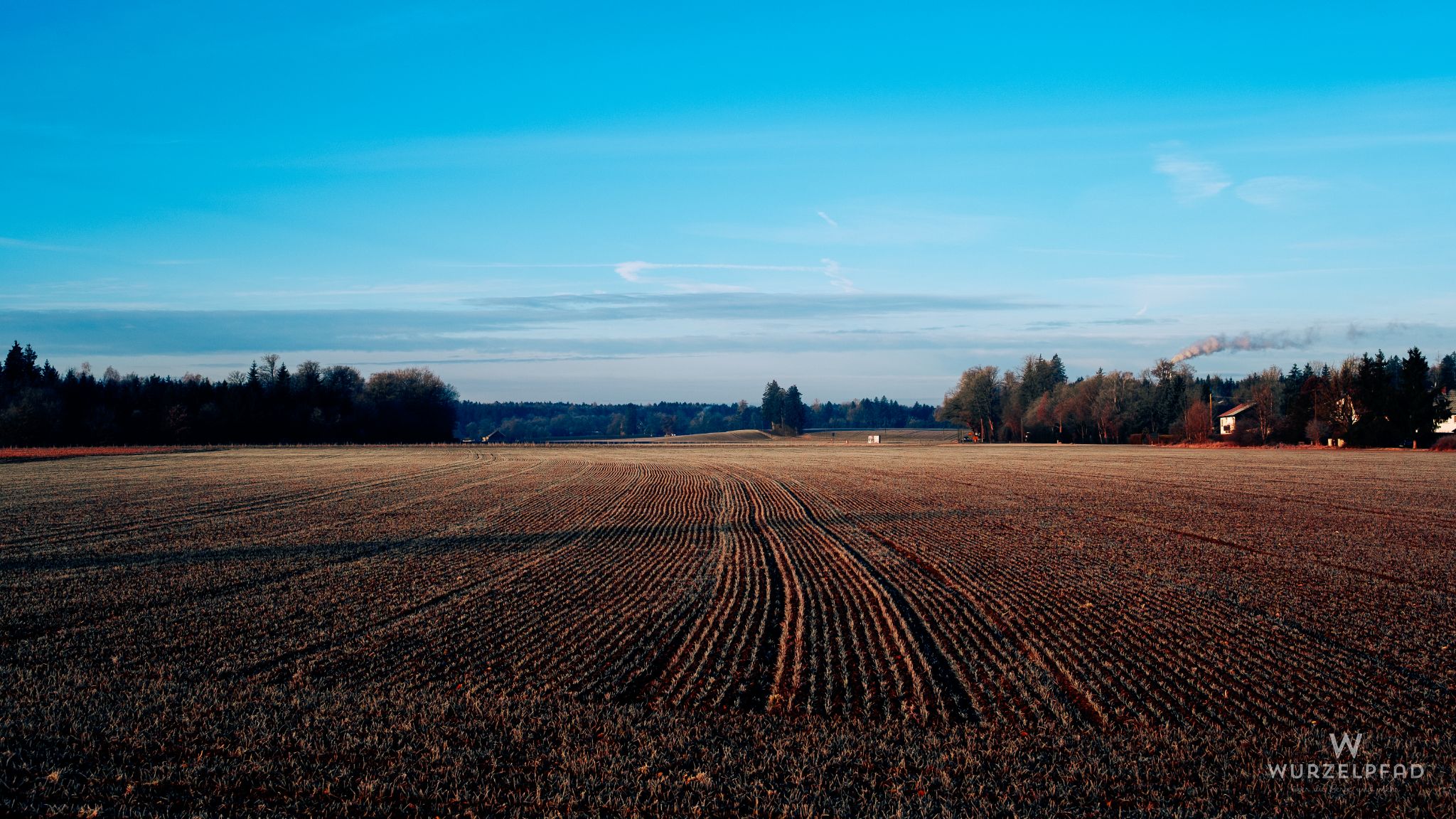 Blick über die Äcker zwischen Deisenhofen und Laufzorn