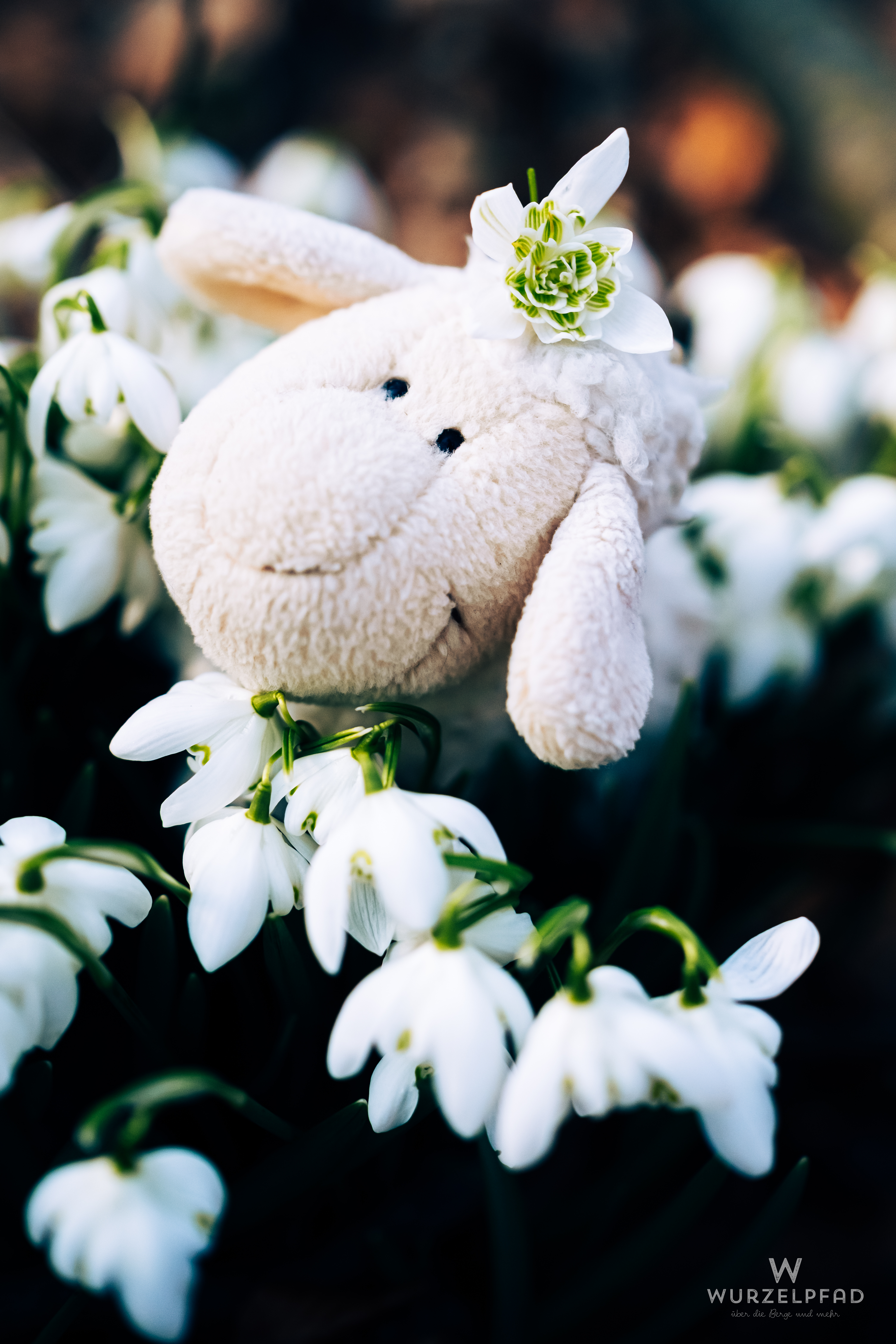 Bärnadette in Schneeglöckchen