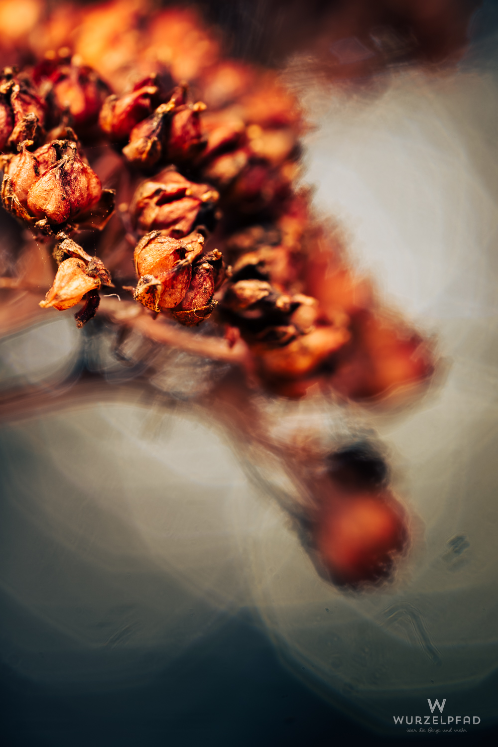 Verblühte Tischdeko