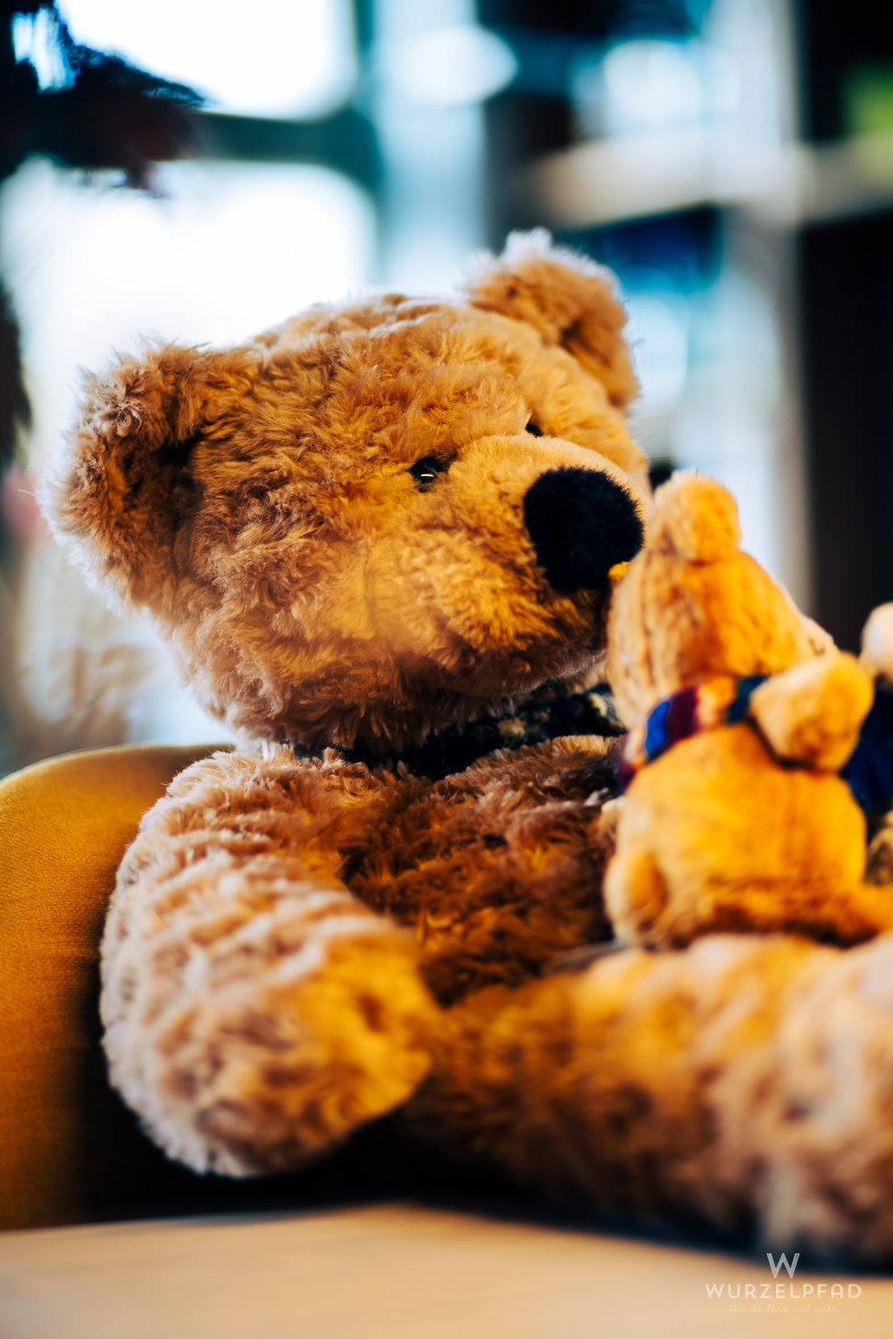 Brummel und Bärnhard