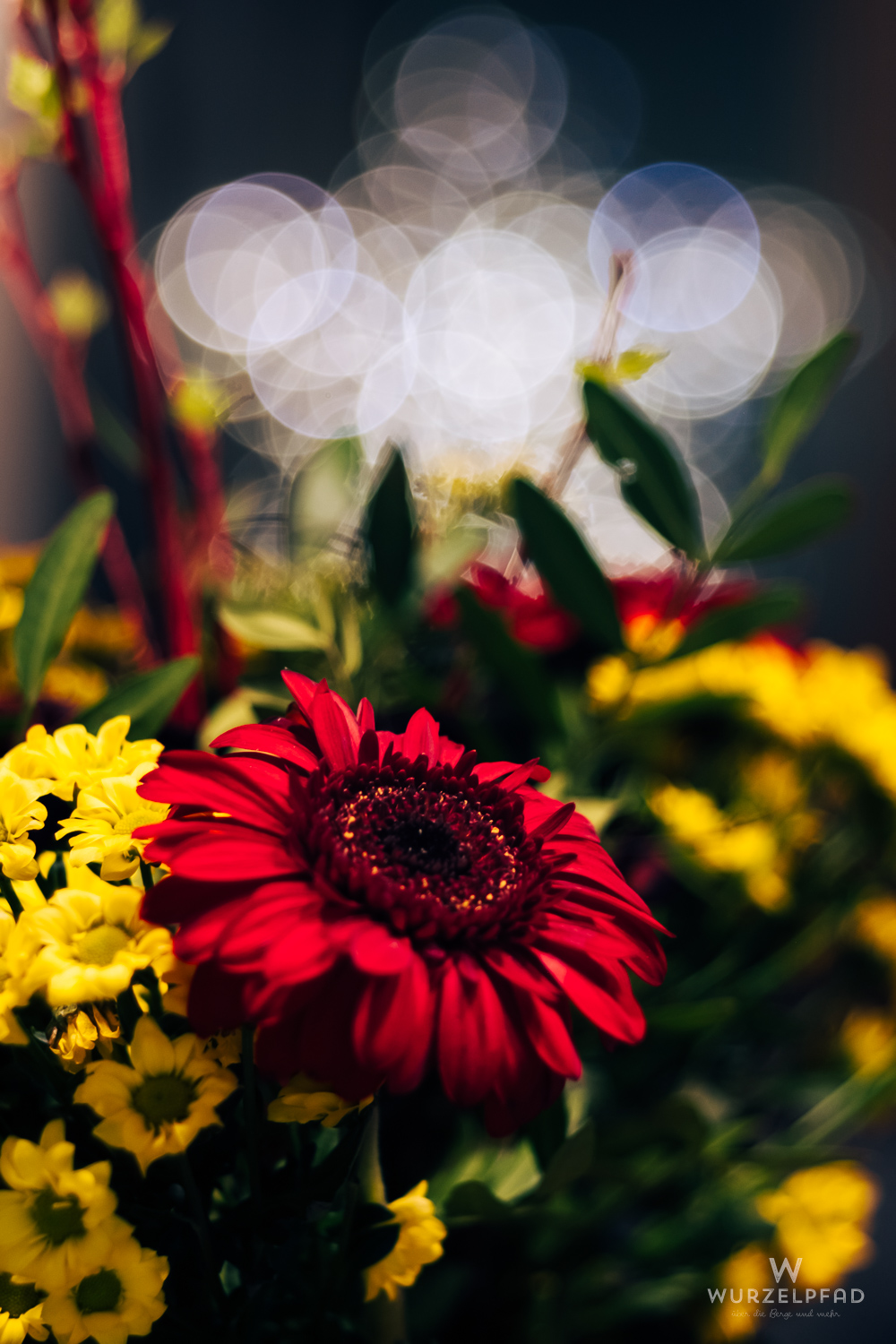 Blumenstrauß mit Bokeh