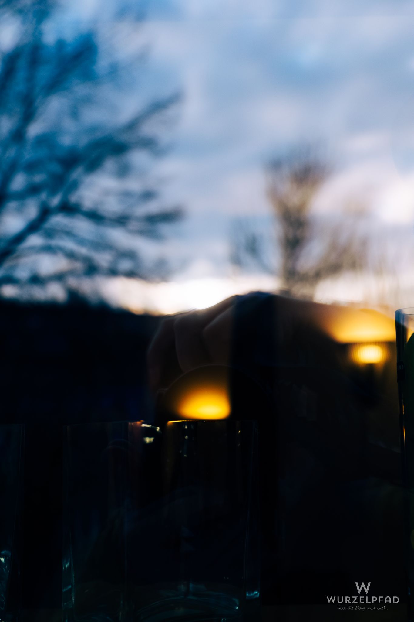 Gespiegelte Bäume im Wohnzimmerfenster